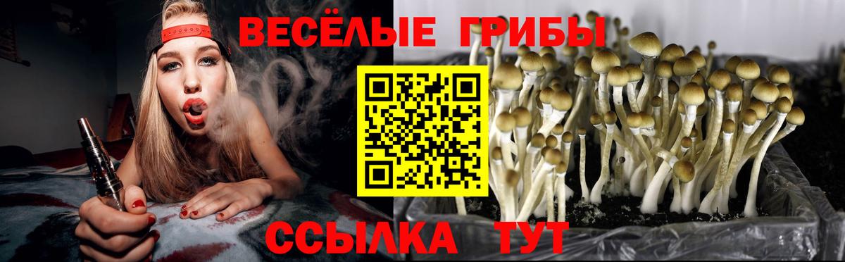 Псилоцибиновые грибы Magic Shrooms Кизляр