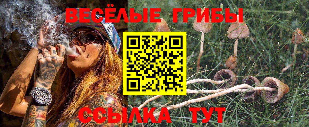 Кизляр  Псилоцибиновые грибы MAGIC MUSHROOMS  Вход с VPN  Галлюциногенные грибы Psilocybe 