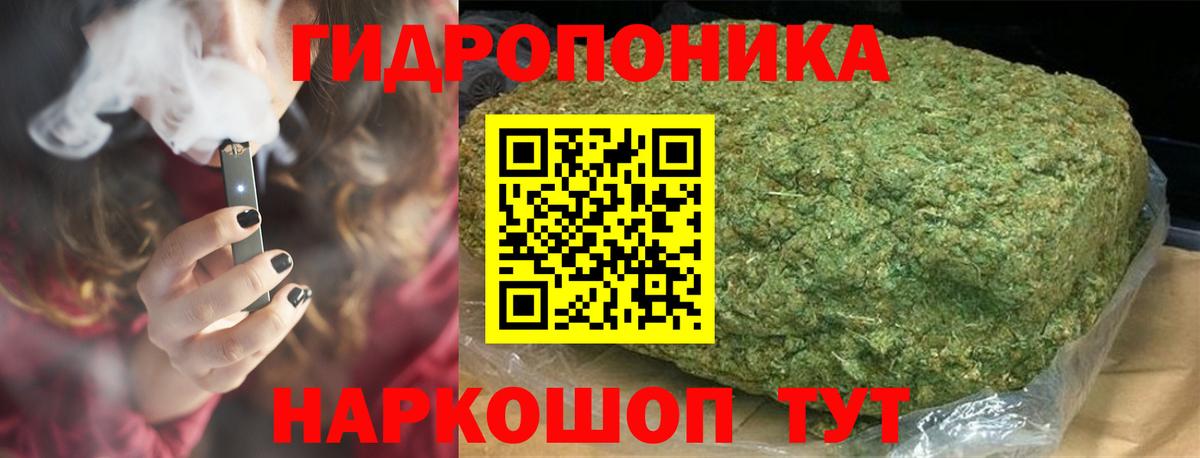 Бошки Шишки конопля Кизляр